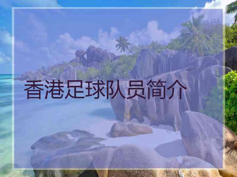 香港足球队员简介