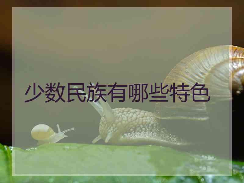 少数民族有哪些特色
