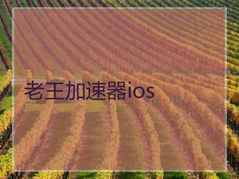 老王加速器ios