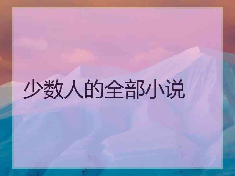 少数人的全部小说