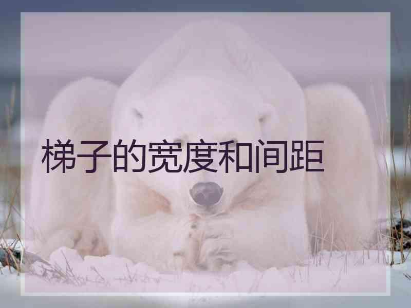 梯子的宽度和间距