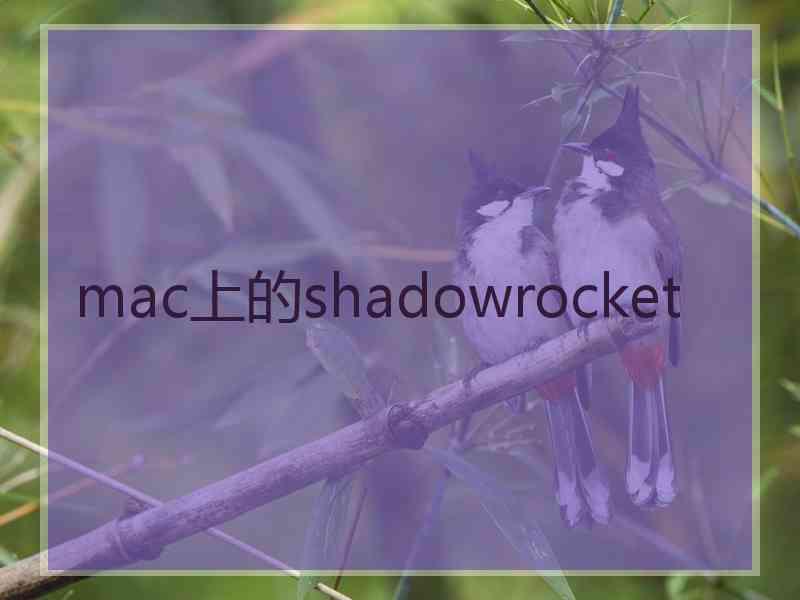 mac上的shadowrocket