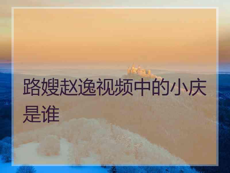 路嫂赵逸视频中的小庆是谁