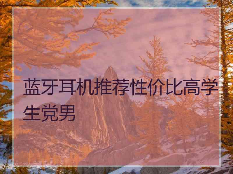 蓝牙耳机推荐性价比高学生党男