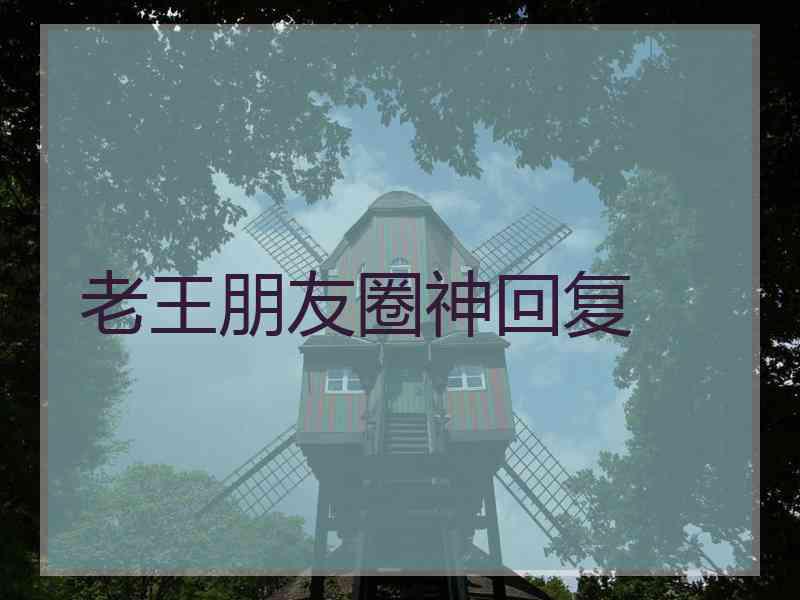 老王朋友圈神回复