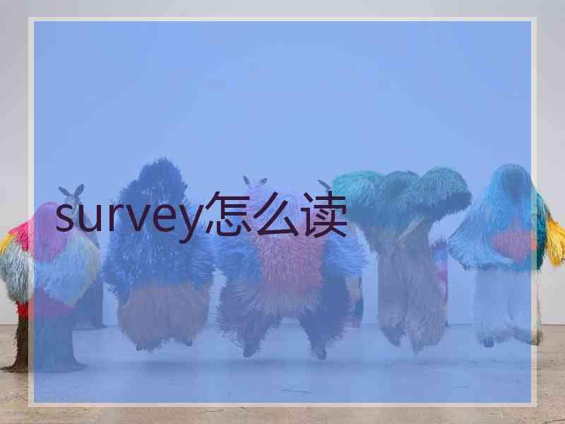 survey怎么读