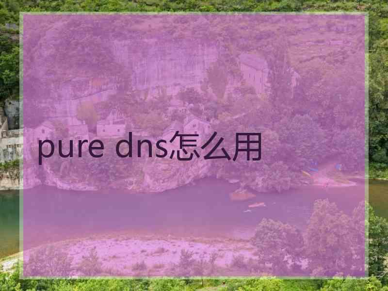 pure dns怎么用