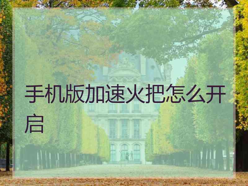 手机版加速火把怎么开启