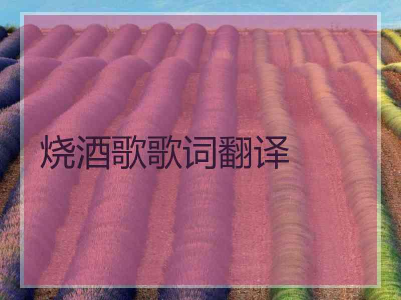 烧酒歌歌词翻译