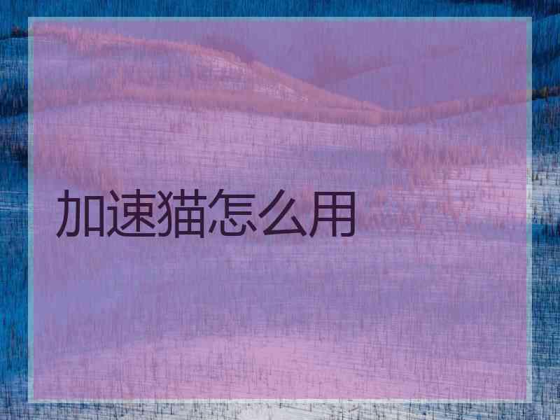 加速猫怎么用