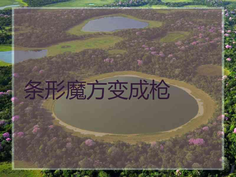 条形魔方变成枪