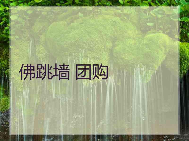 佛跳墙 团购