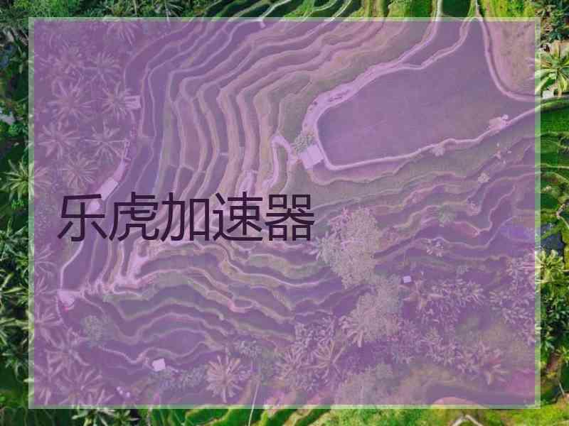 乐虎加速器