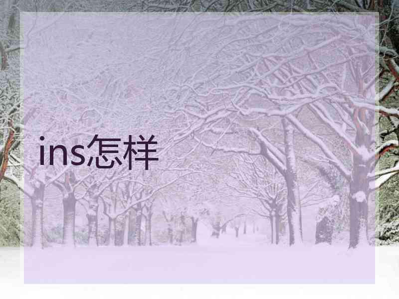 ins怎样