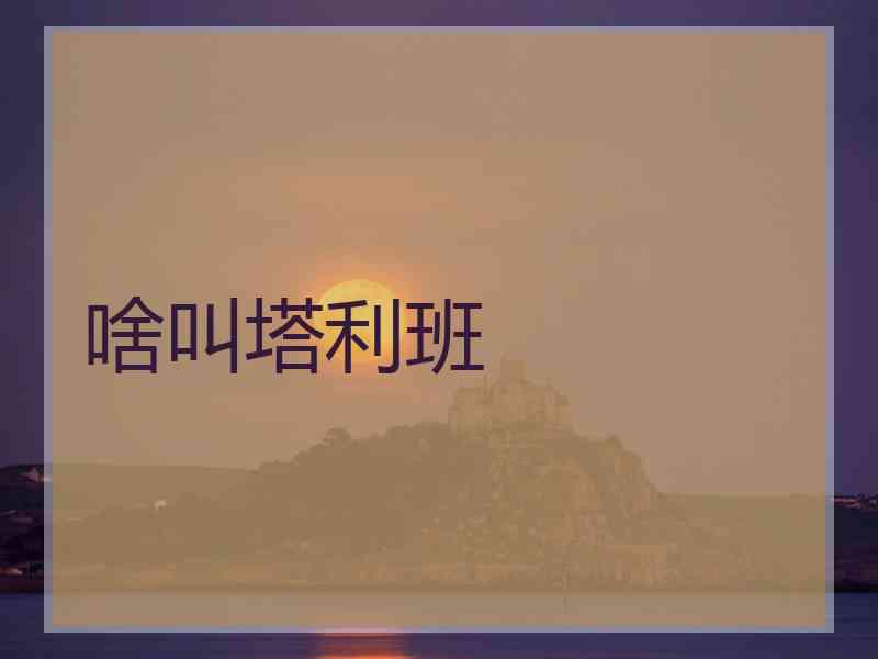 啥叫塔利班