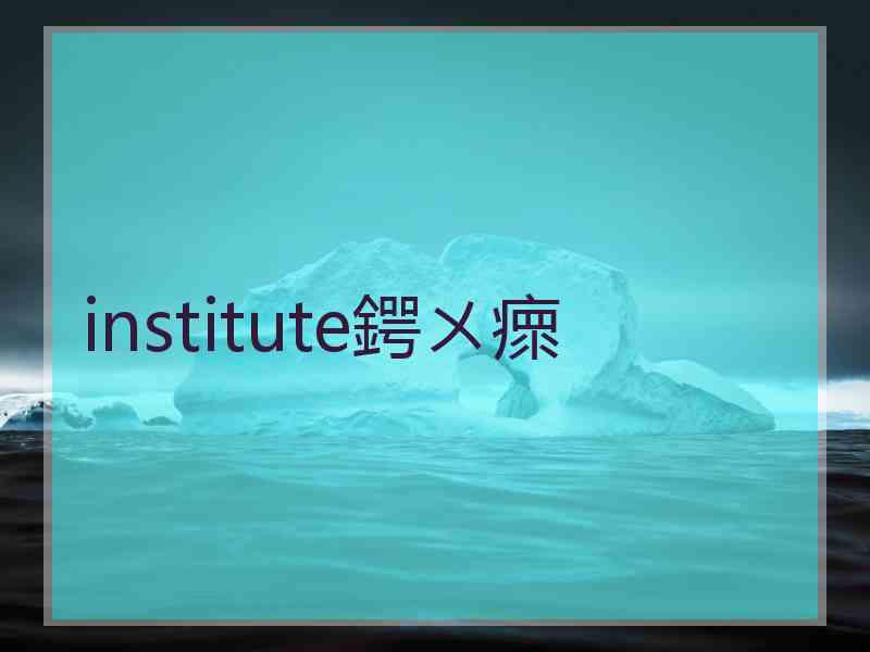 institute鍔ㄨ瘝