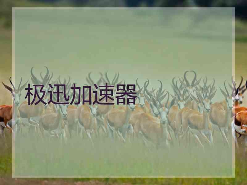 极迅加速器