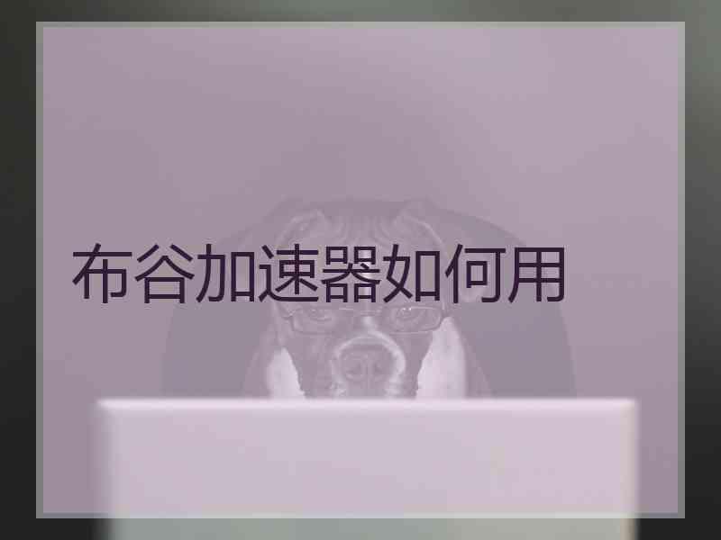 布谷加速器如何用