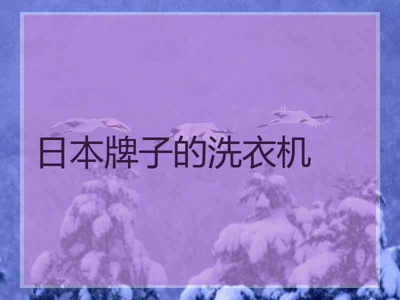 日本牌子的洗衣机