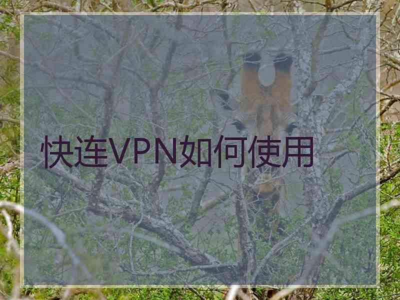 快连VPN如何使用