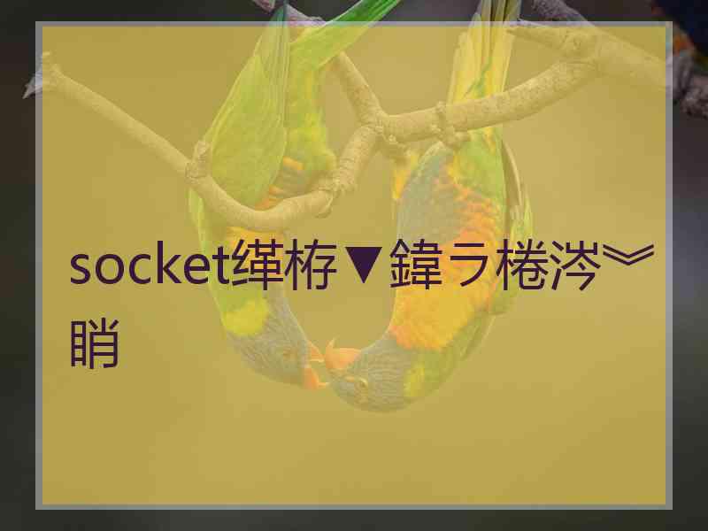 socket缂栫▼鍏ラ棬涔︾睄