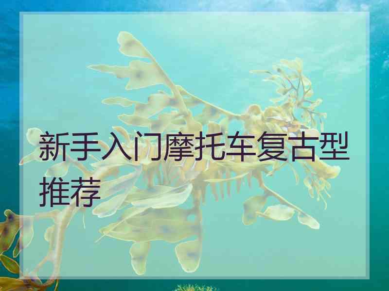 新手入门摩托车复古型推荐