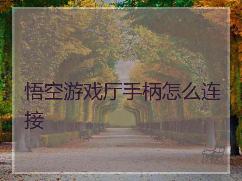悟空游戏厅手柄怎么连接