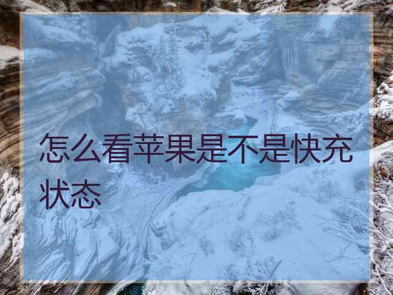怎么看苹果是不是快充状态