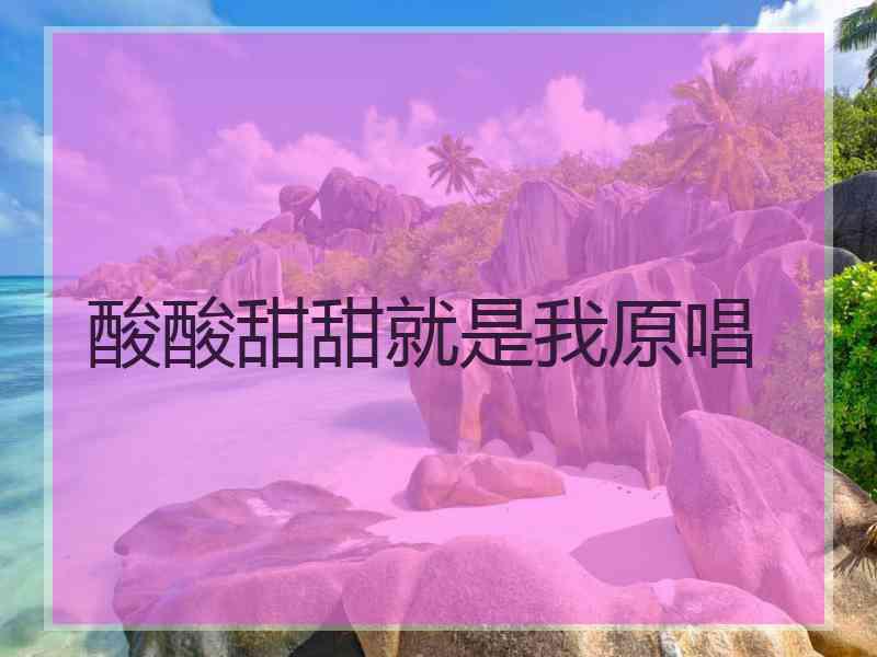 酸酸甜甜就是我原唱