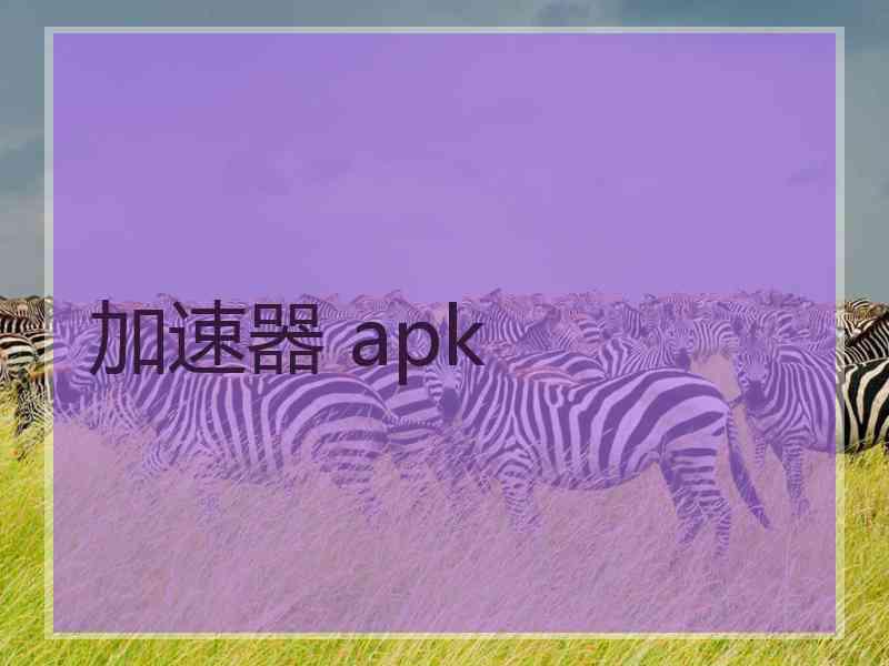 加速器 apk