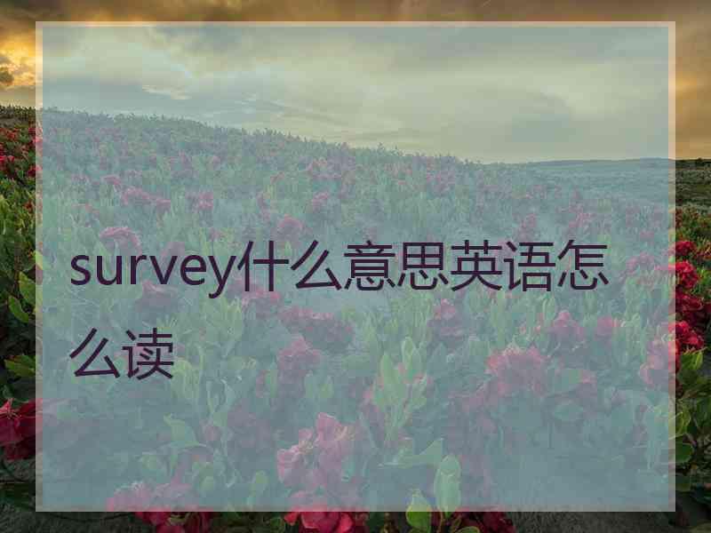 survey什么意思英语怎么读