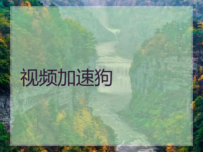 视频加速狗