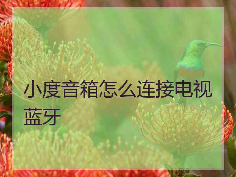 小度音箱怎么连接电视蓝牙