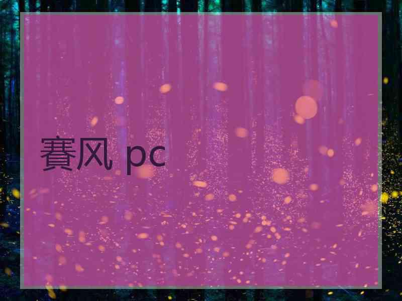 賽风 pc