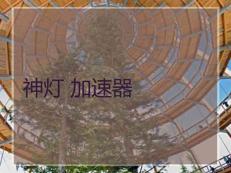 神灯 加速器