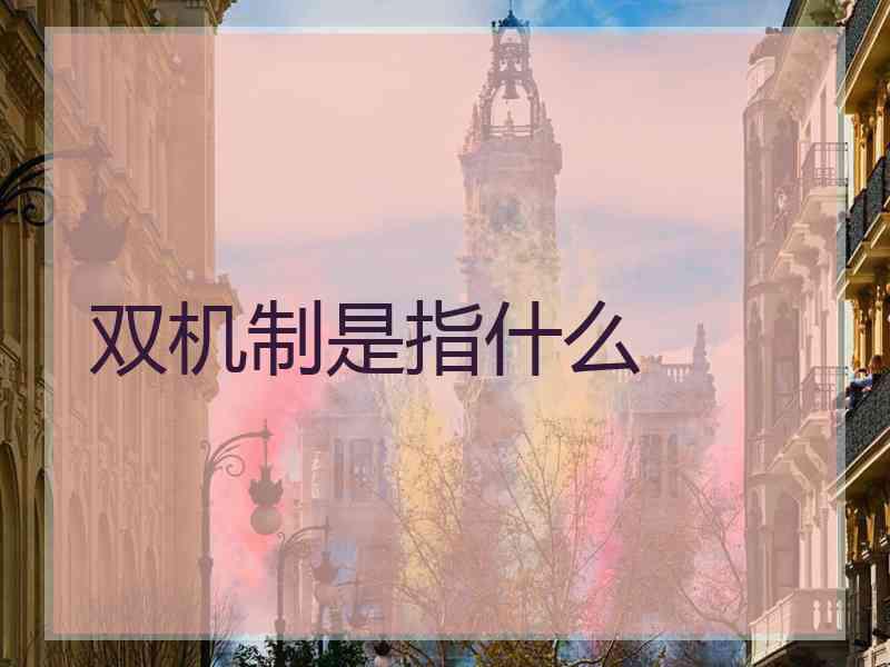 双机制是指什么
