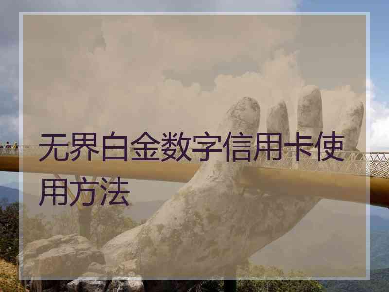 无界白金数字信用卡使用方法