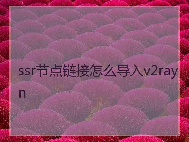 ssr节点链接怎么导入v2rayn