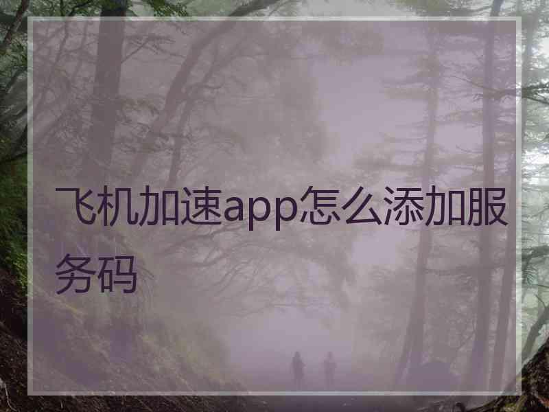 飞机加速app怎么添加服务码