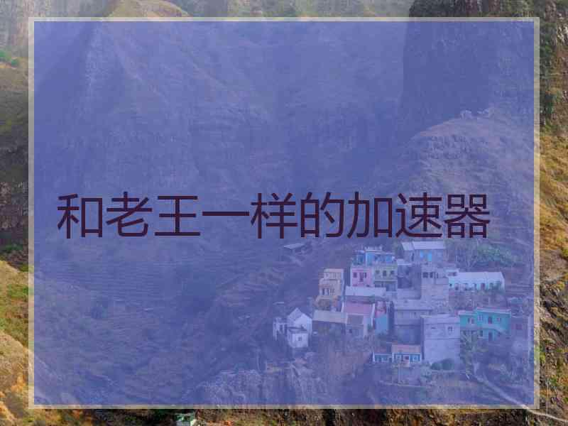和老王一样的加速器