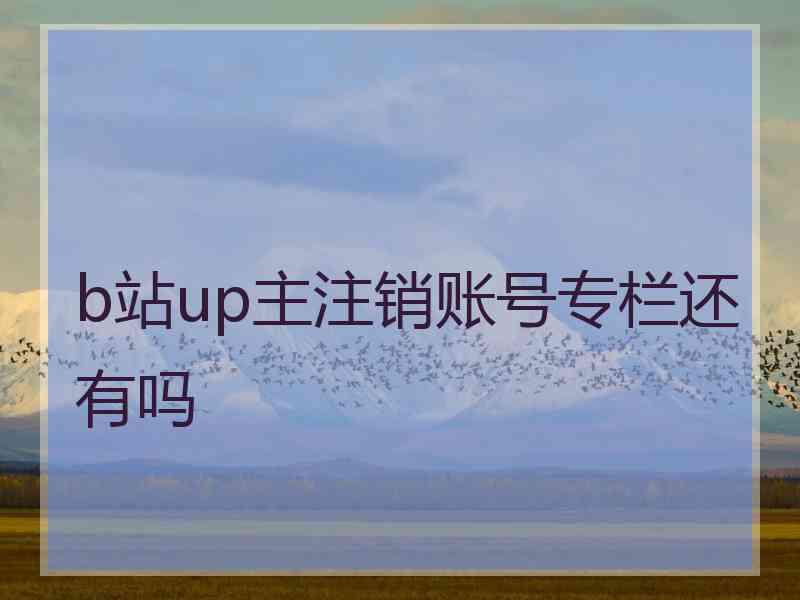 b站up主注销账号专栏还有吗