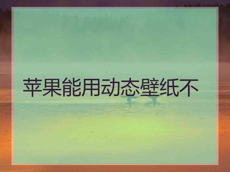 苹果能用动态壁纸不