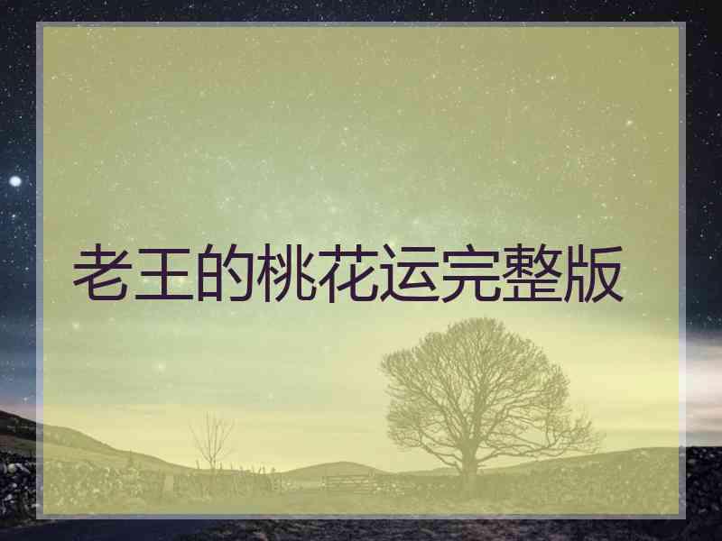 老王的桃花运完整版