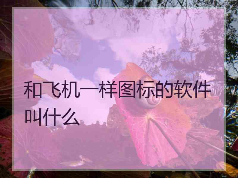 和飞机一样图标的软件叫什么