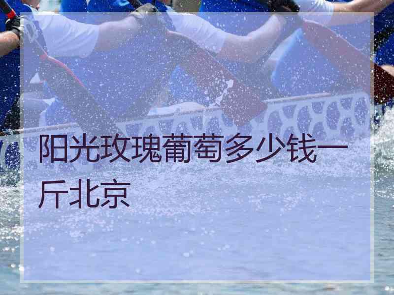 阳光玫瑰葡萄多少钱一斤北京