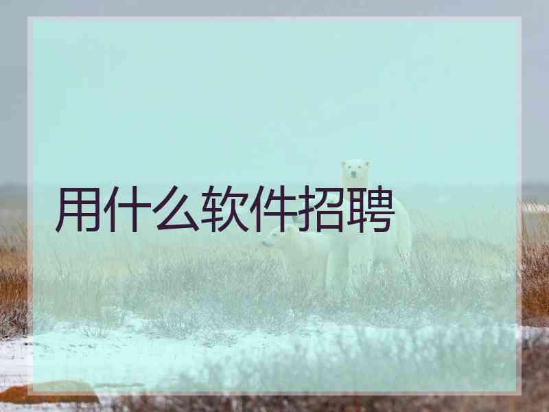 用什么软件招聘