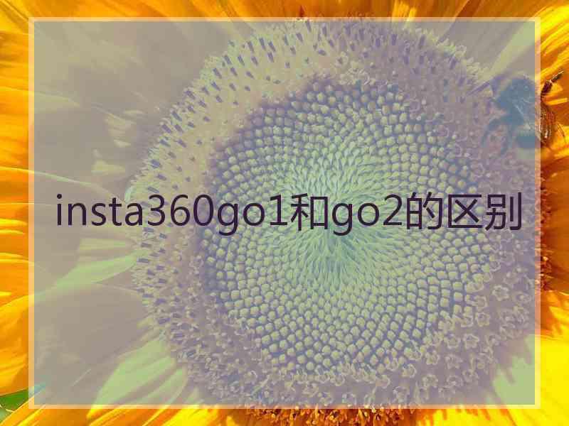 insta360go1和go2的区别