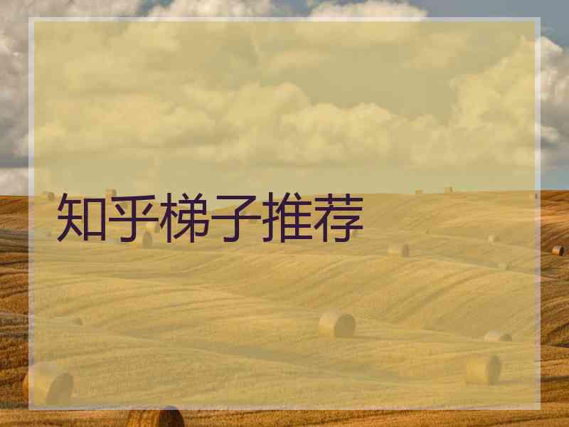 知乎梯子推荐
