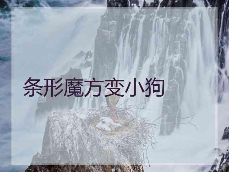 条形魔方变小狗