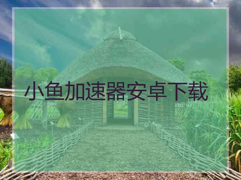 小鱼加速器安卓下载